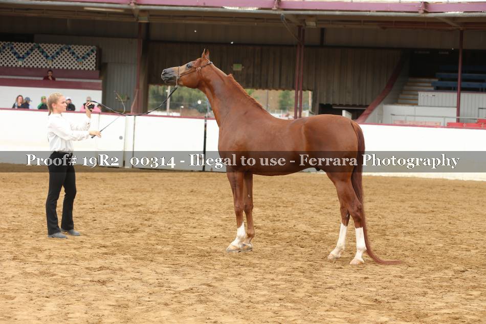 Proof 19R2_00314