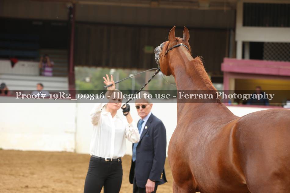 Proof 19R2_00316