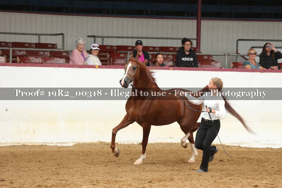 Proof 19R2_00318