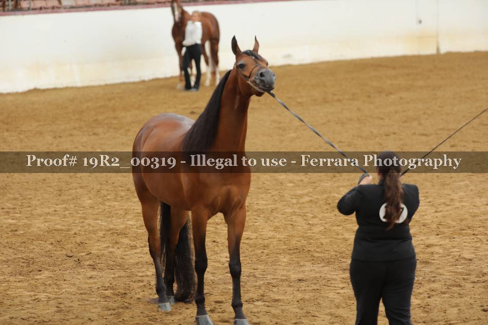 Proof 19R2_00319