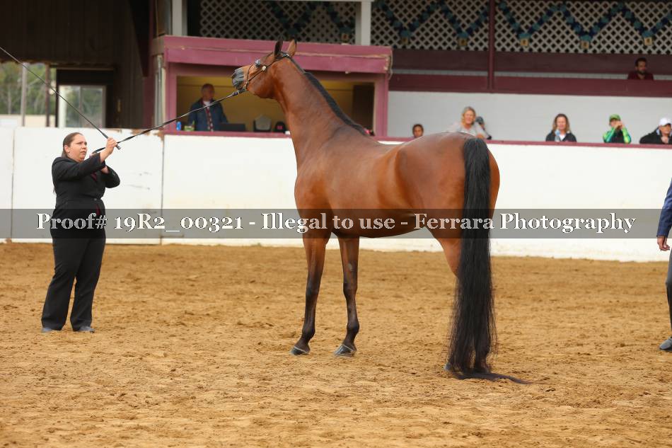 Proof 19R2_00321