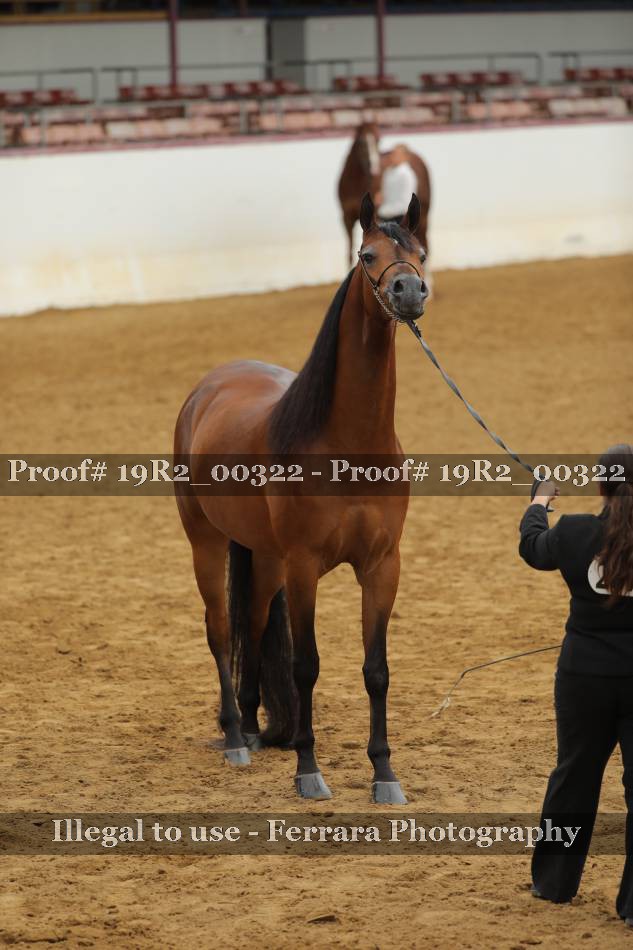 Proof 19R2_00322