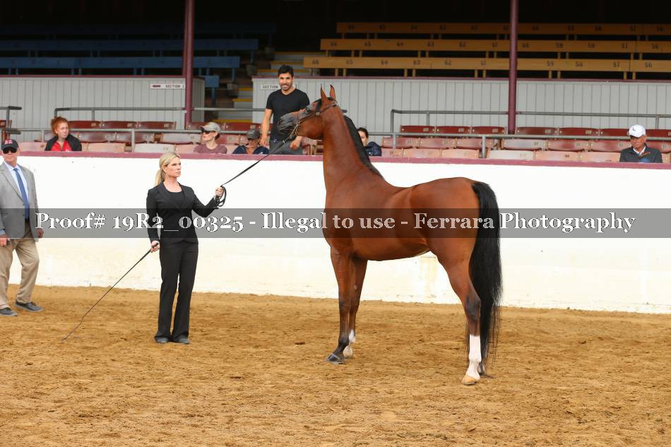 Proof 19R2_00325