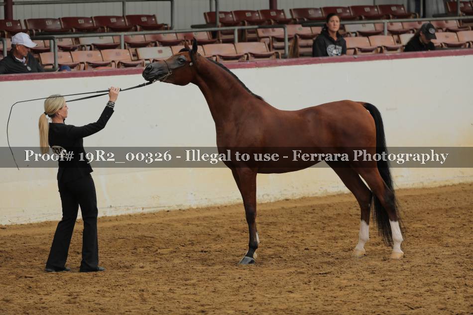 Proof 19R2_00326