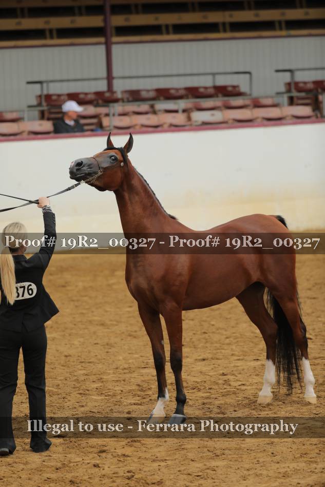 Proof 19R2_00327