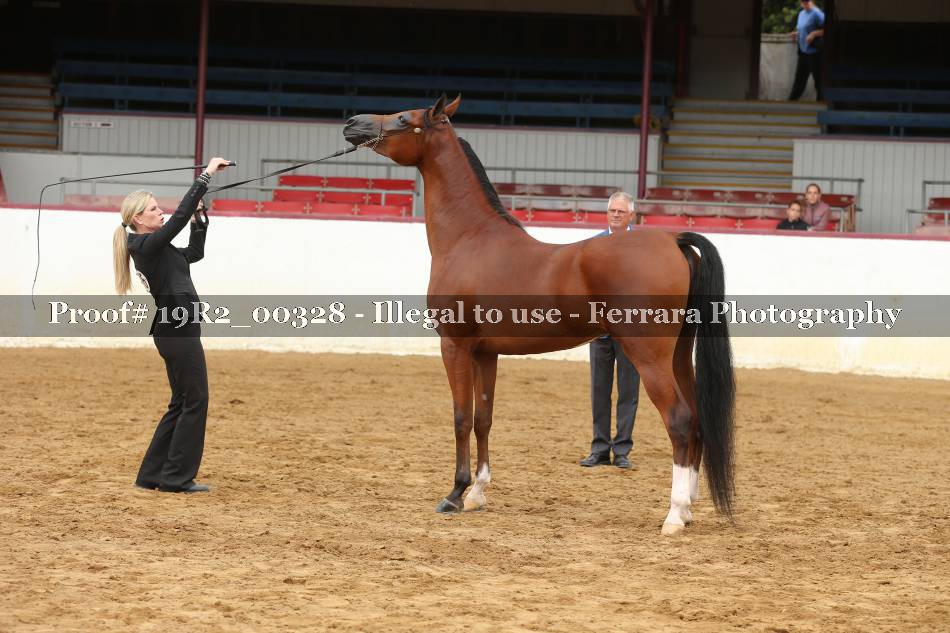 Proof 19R2_00328
