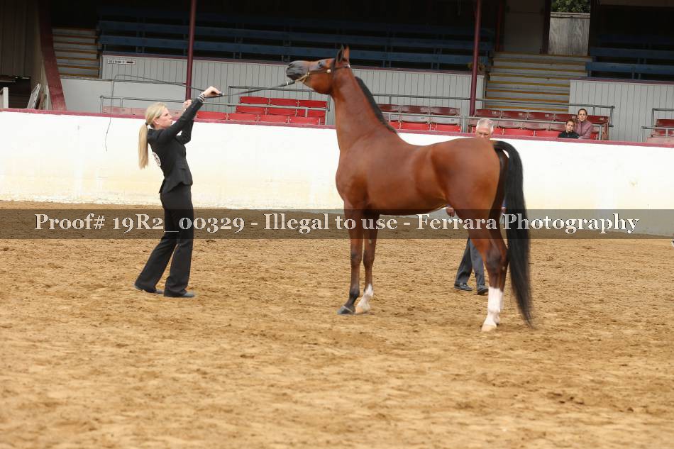 Proof 19R2_00329