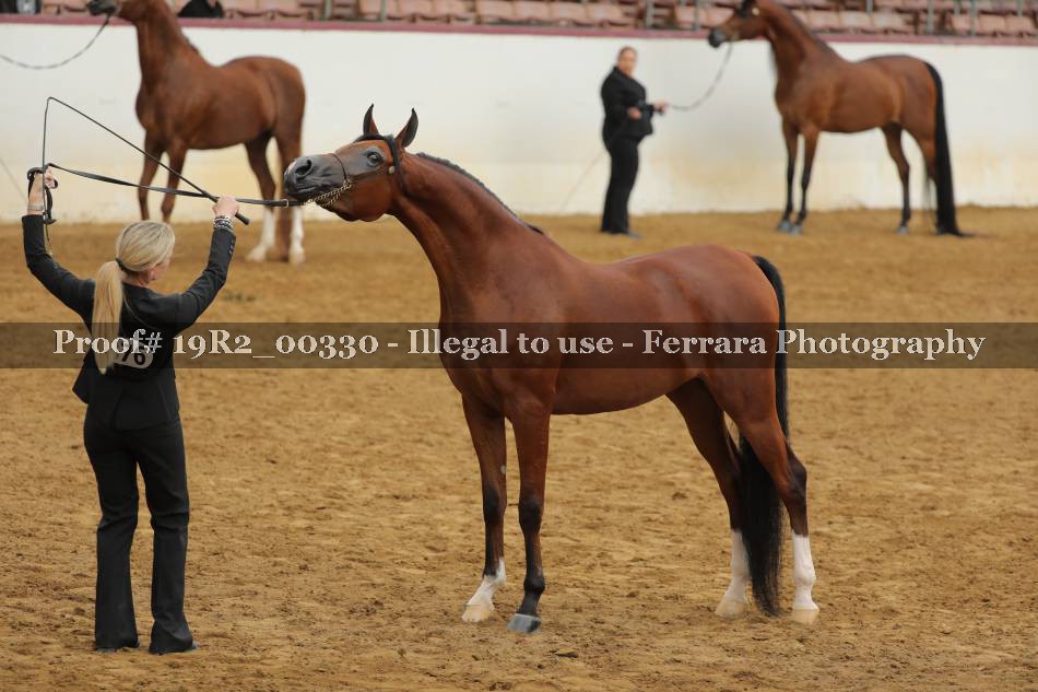 Proof 19R2_00330