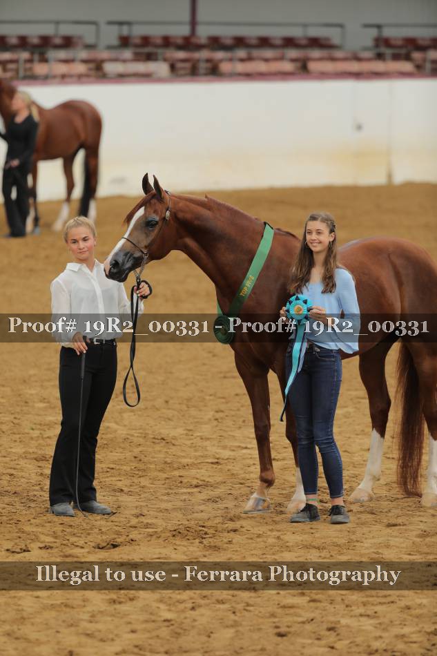 Proof 19R2_00331