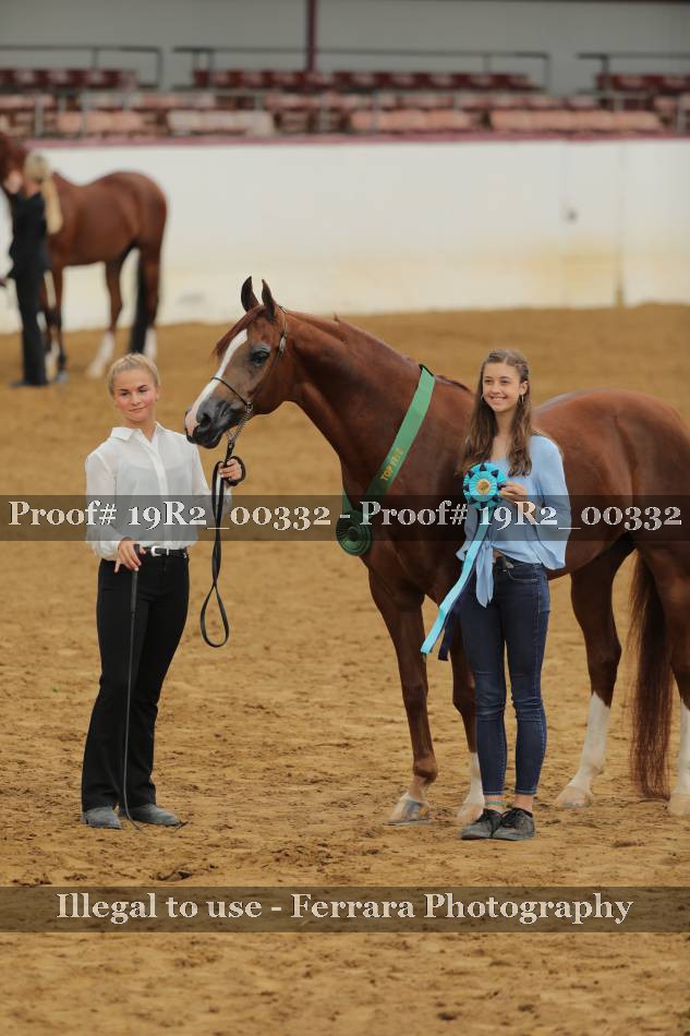 Proof 19R2_00332