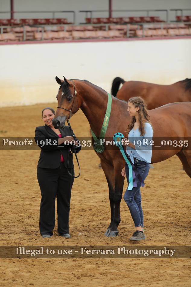 Proof 19R2_00335