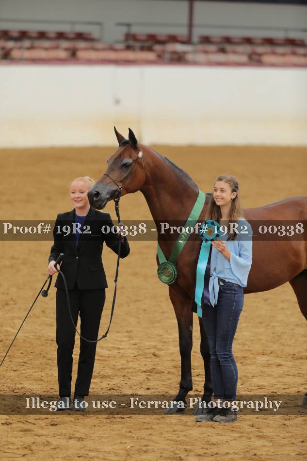 Proof 19R2_00338