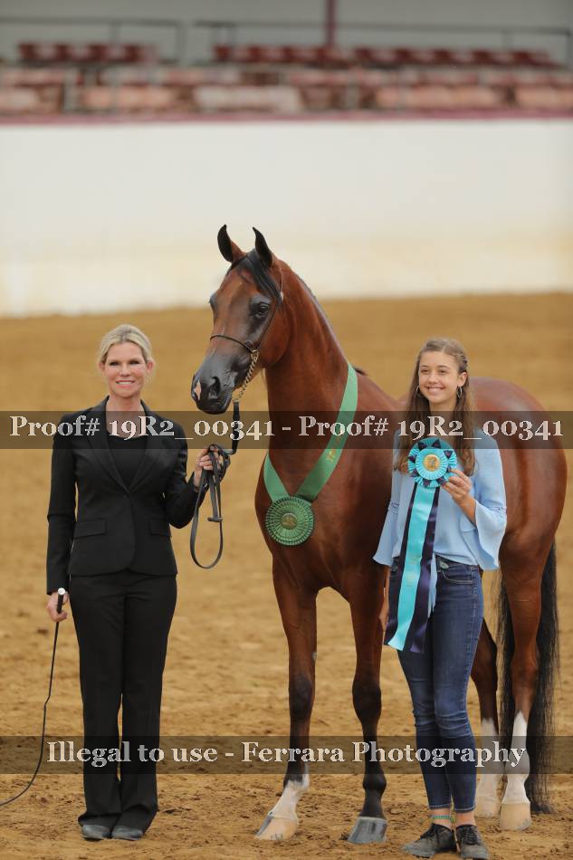 Proof 19R2_00341