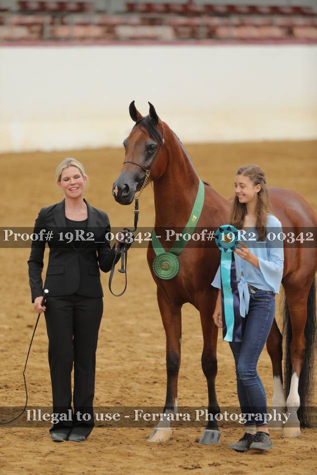 Proof 19R2_00342