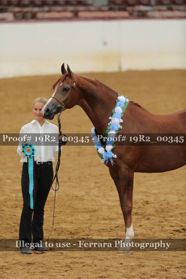 Proof 19R2_00345