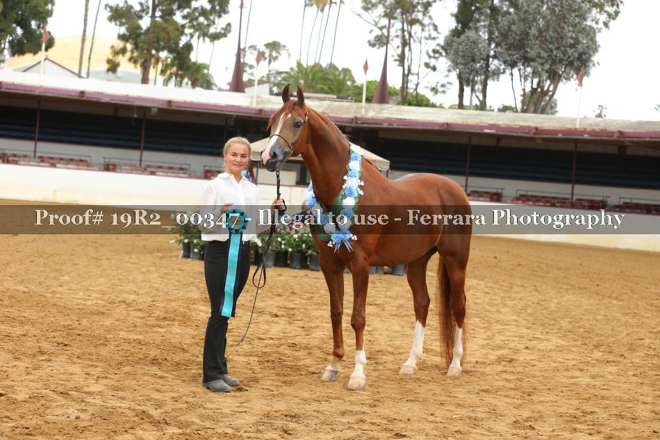 Proof 19R2_00347