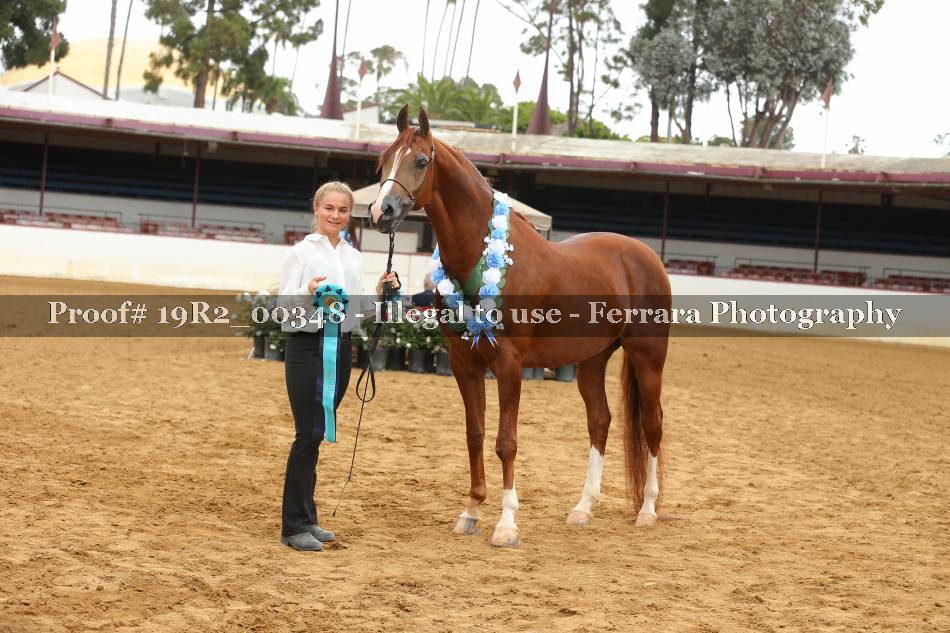 Proof 19R2_00348
