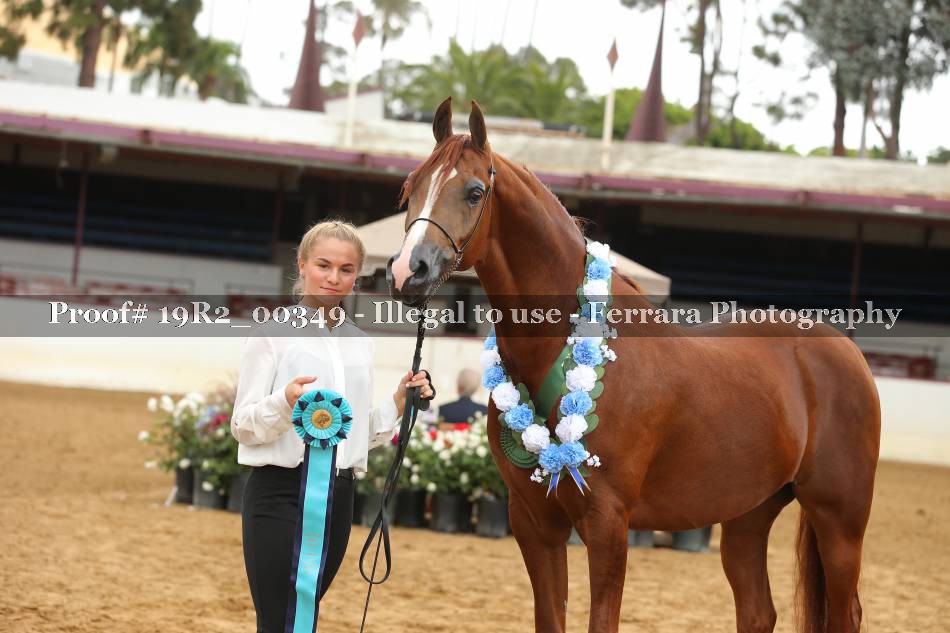 Proof 19R2_00349