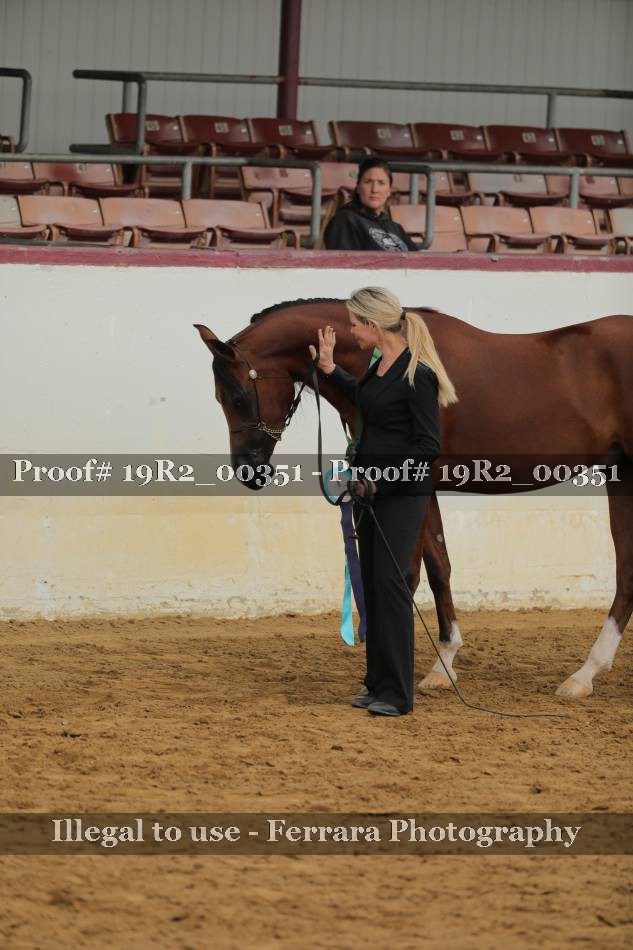 Proof 19R2_00351