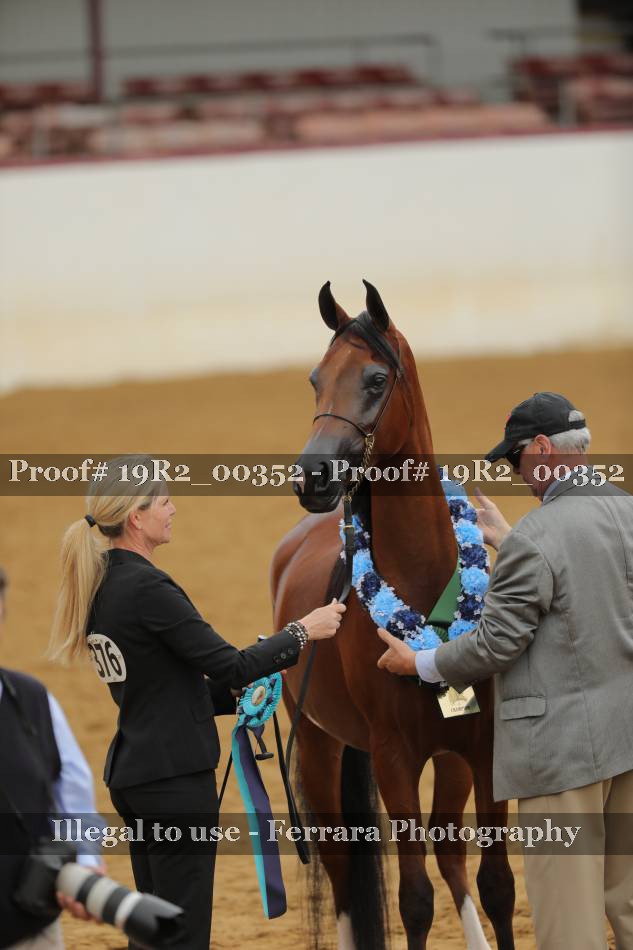 Proof 19R2_00352