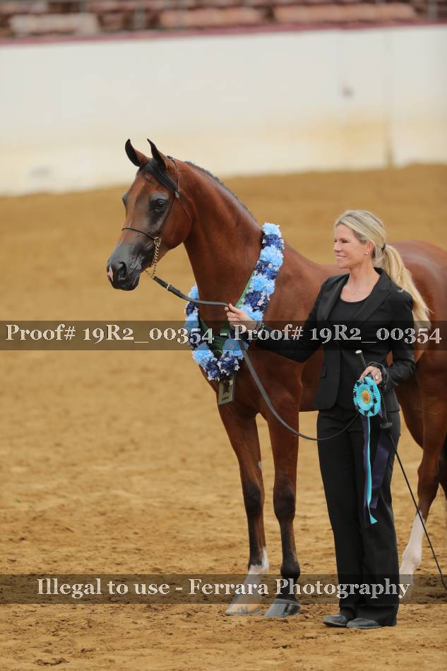 Proof 19R2_00354