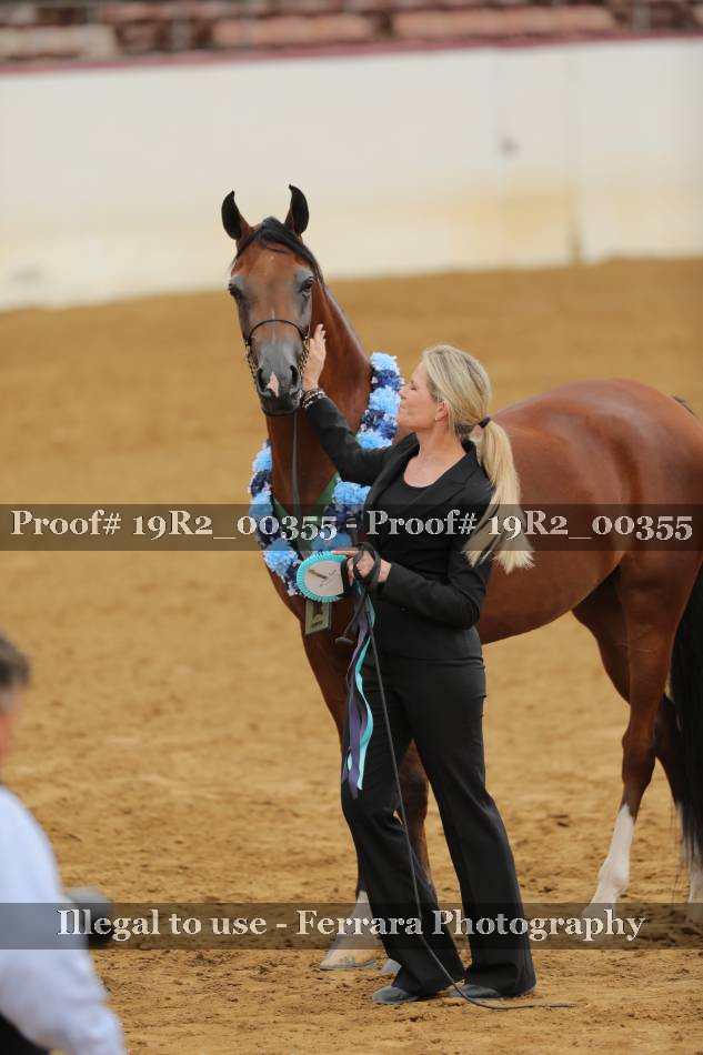 Proof 19R2_00355