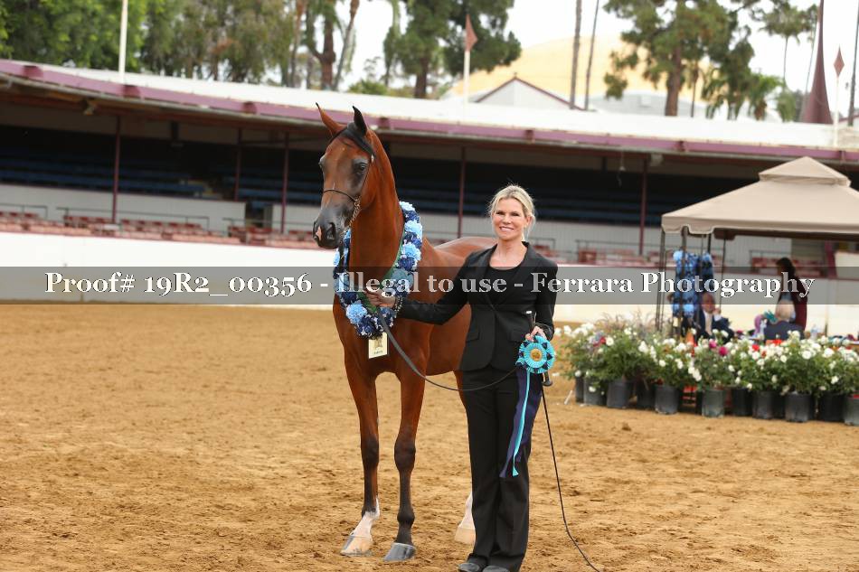 Proof 19R2_00356