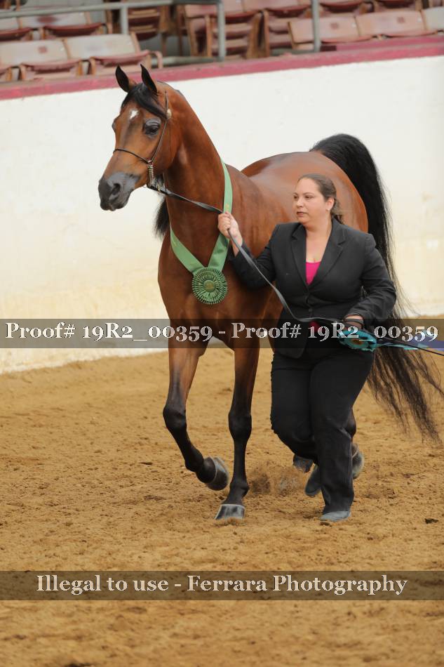 Proof 19R2_00359