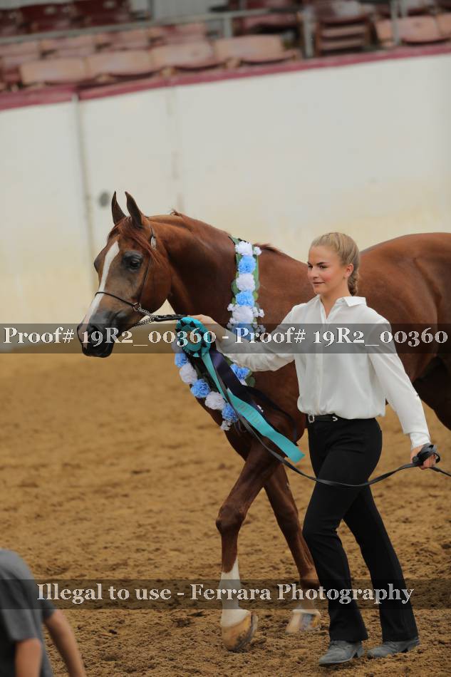 Proof 19R2_00360