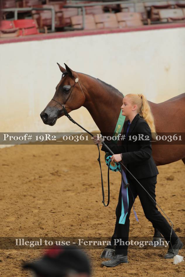 Proof 19R2_00361