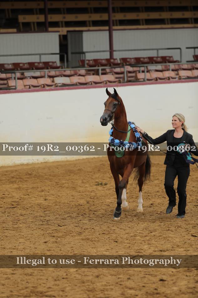 Proof 19R2_00362