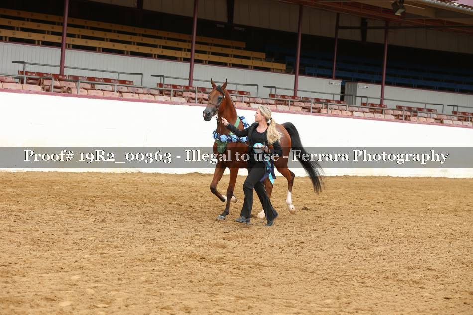 Proof 19R2_00363