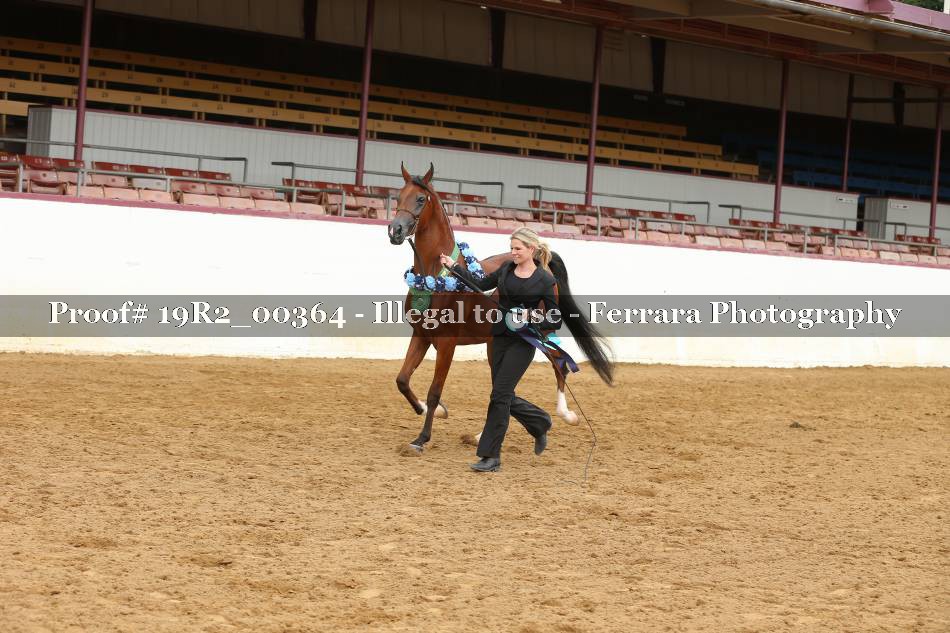 Proof 19R2_00364
