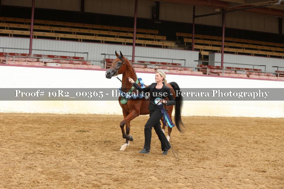 Proof 19R2_00365