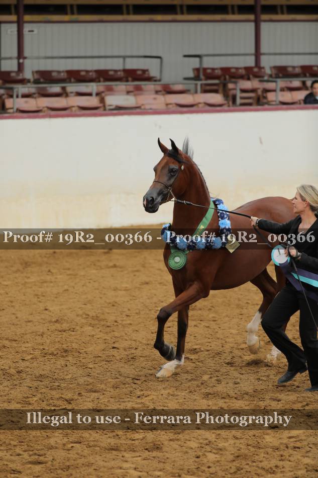 Proof 19R2_00366