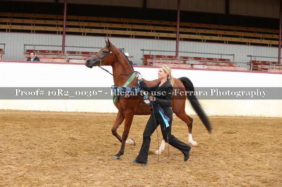 Proof 19R2_00367