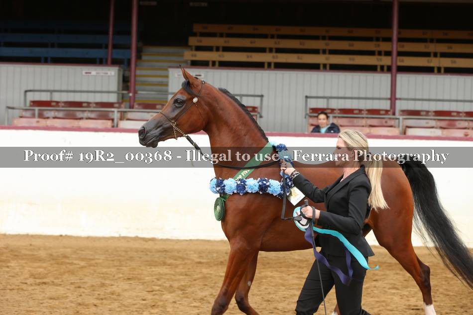 Proof 19R2_00368