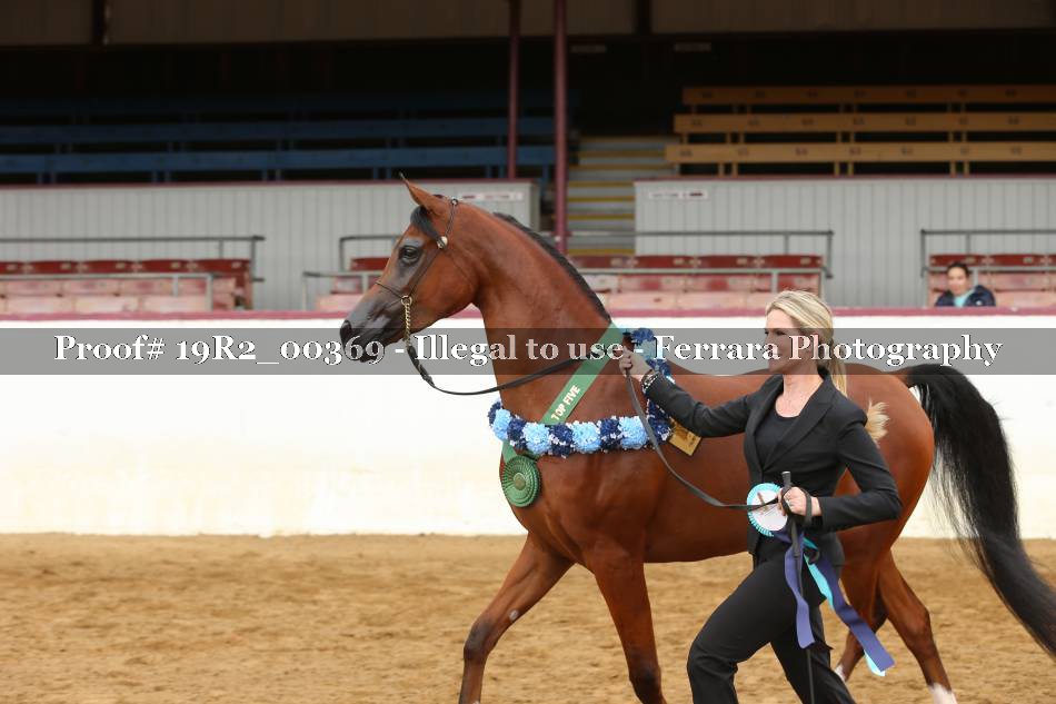 Proof 19R2_00369
