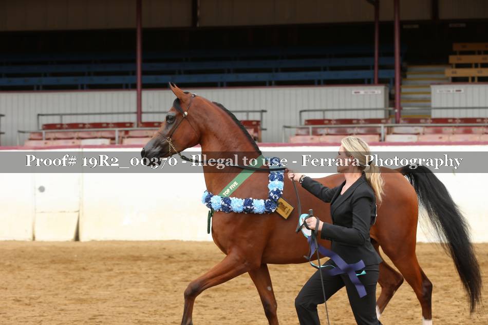 Proof 19R2_00370
