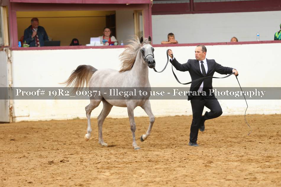 Proof 19R2_00371