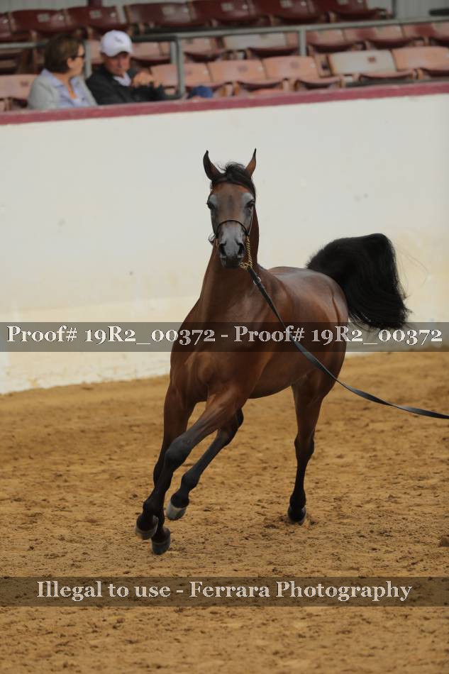 Proof 19R2_00372