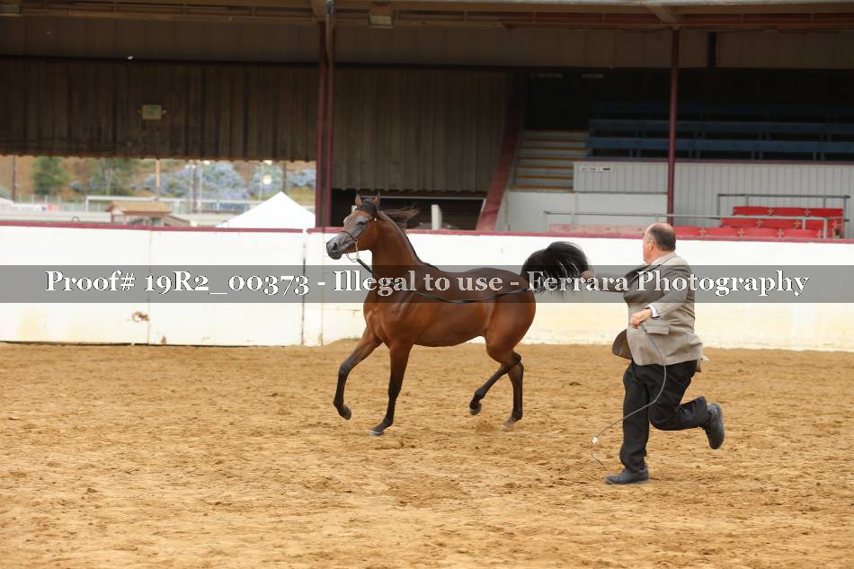 Proof 19R2_00373