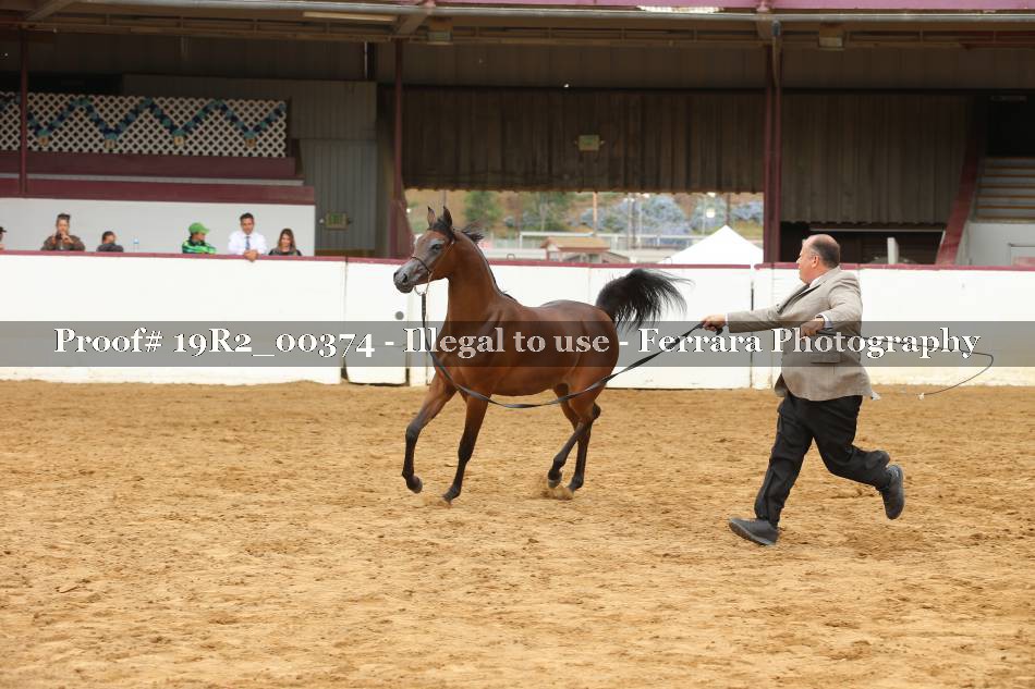 Proof 19R2_00374