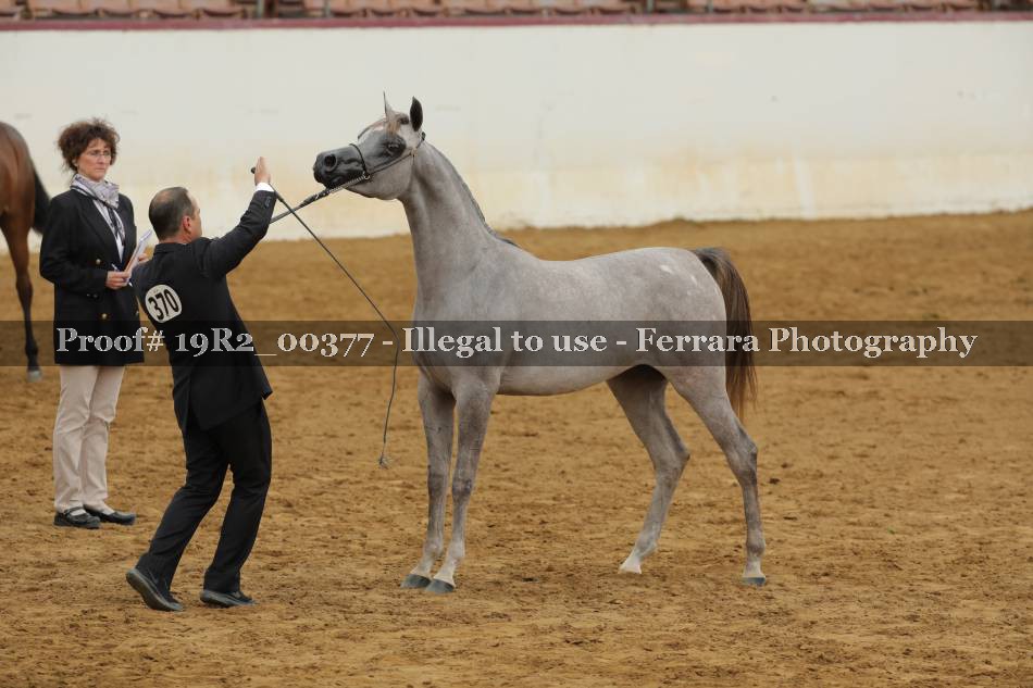 Proof 19R2_00377