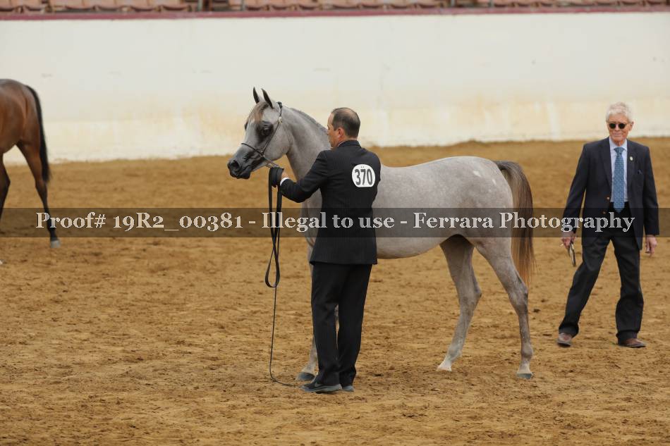 Proof 19R2_00381