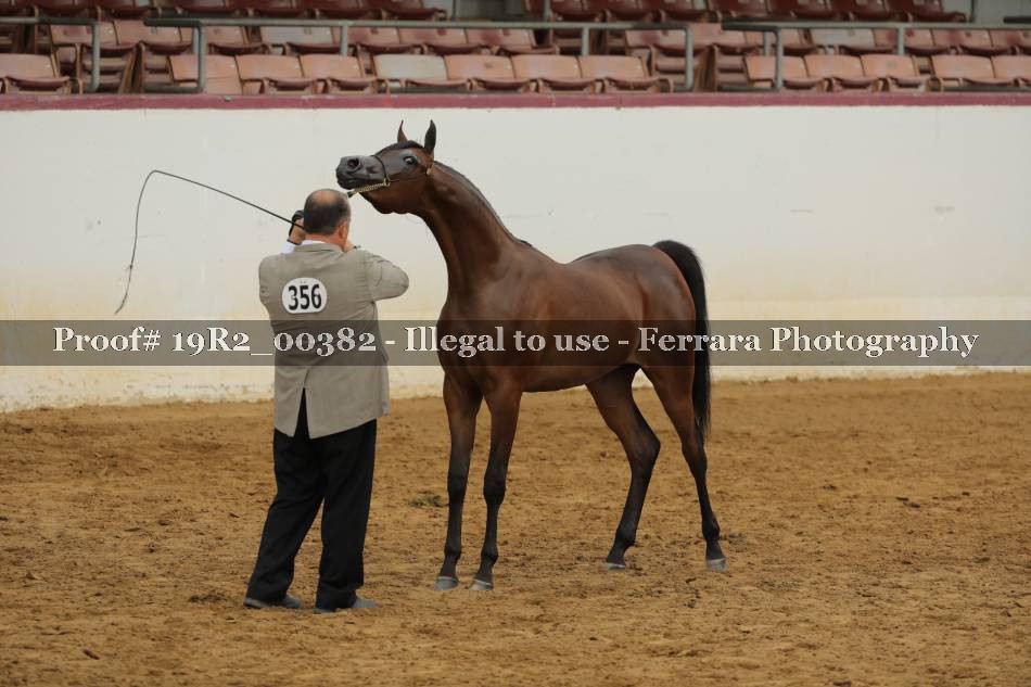 Proof 19R2_00382