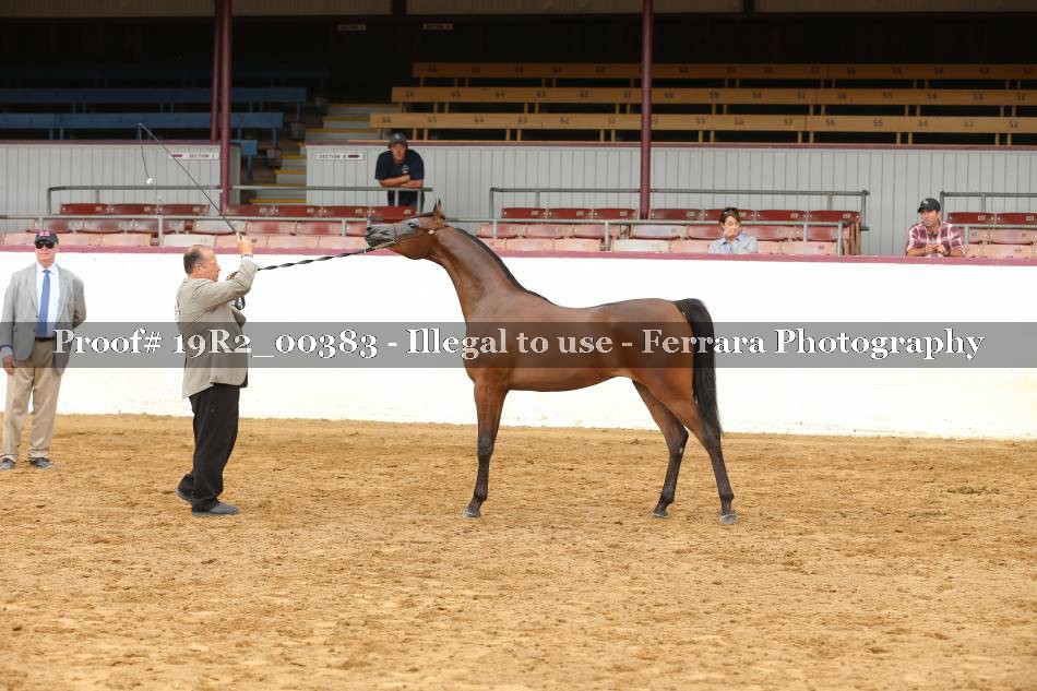 Proof 19R2_00383
