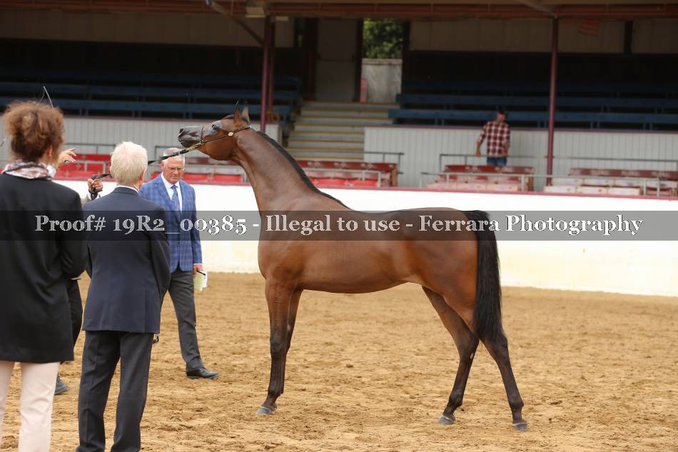 Proof 19R2_00385