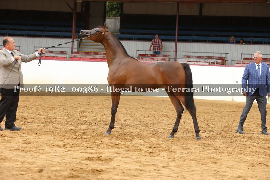 Proof 19R2_00386
