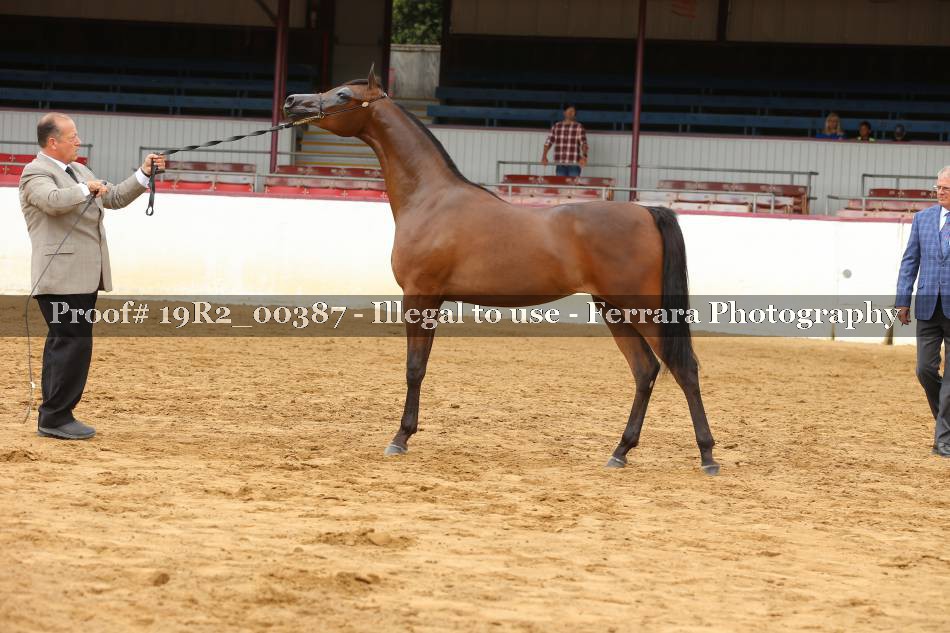Proof 19R2_00387